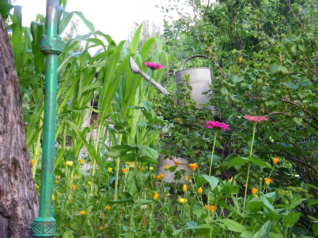 Jasmine Boutique Guesthouse Akhaltsikhe  Εξωτερικό φωτογραφία